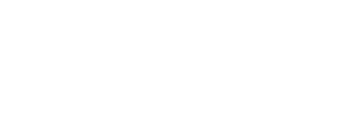 Magento logo